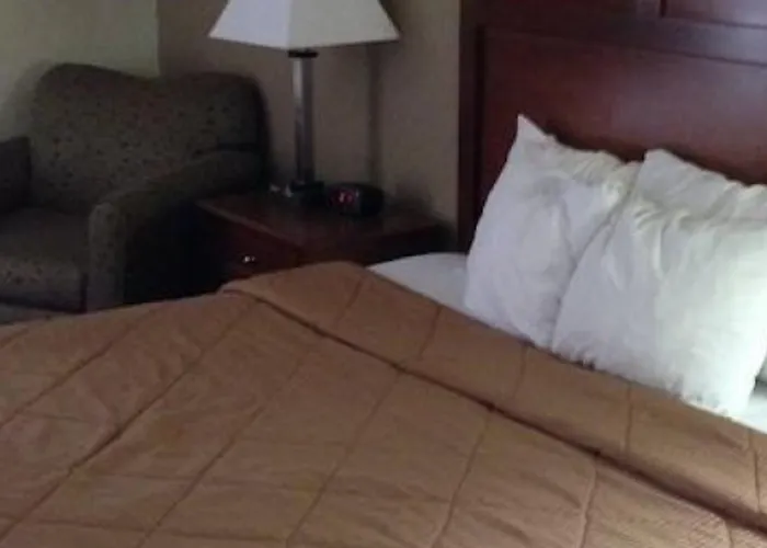 The & Hotel 3*