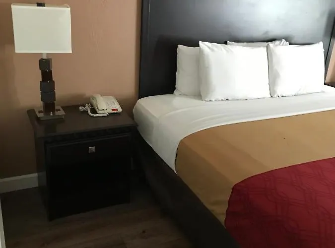 Hotel The &