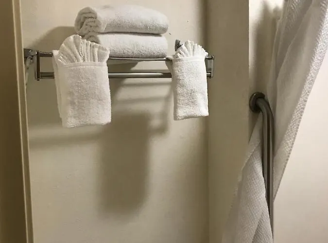 The &