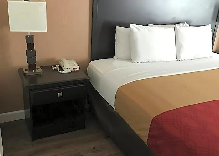 The & 3* Markham