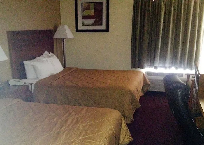 Hotel The & 3*